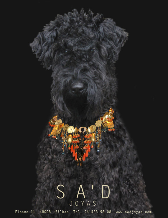 SAD Joyas.Joyas de autor en Bilbao